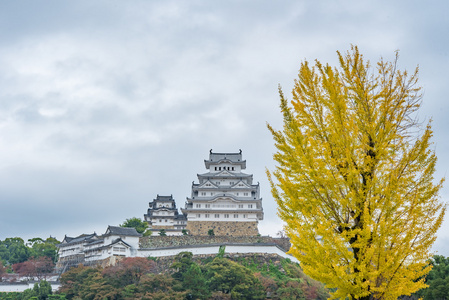 在日本，姬路城堡也叫白苍鹭城堡
