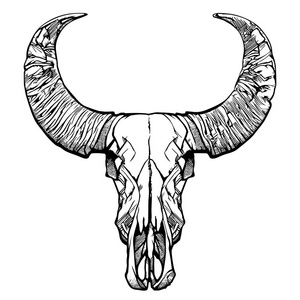 水牛矢量图片-水牛矢量素材-水牛矢量插画-摄图新视界