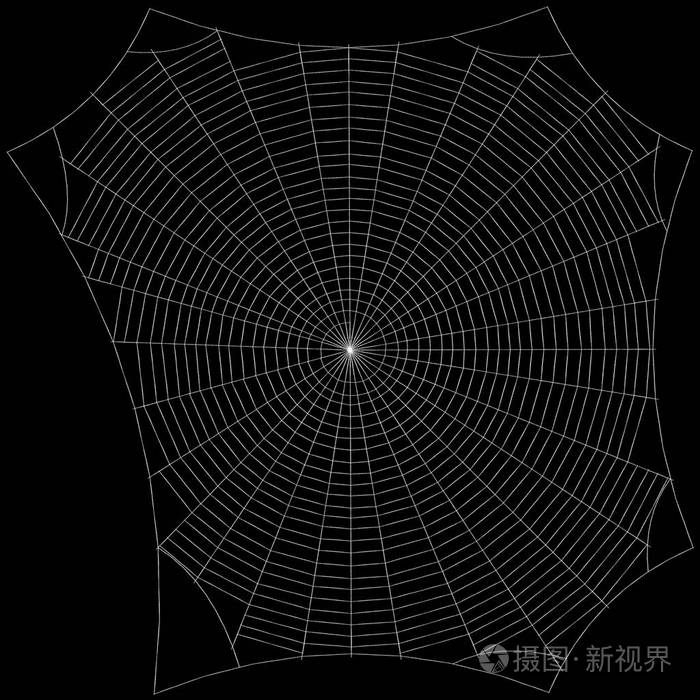 蜘蛛网黑色背景上的孤立素描图
