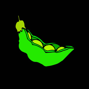 插画 食物 豌豆 pod 绿色 矢量 有机 健康 成分