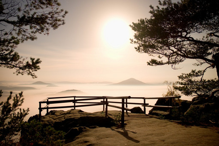 满月午夜。月圆夜美丽波西米亚萨克森瑞士山。从大雾增加丘陵高峰和树