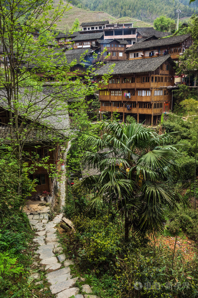 longii 提香 (龙的骨干梯田), 广西的中国苗族传统村落