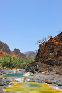 索科特拉岛，在 Wadi Dirhur 河。也门