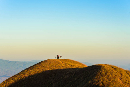 黄金草 Doi Monjong 山谷在清迈，泰国