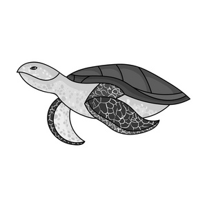 海龟在白色背景上孤立的单色样式图标。海洋动物符号股票矢量图