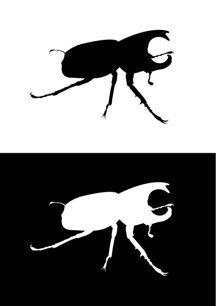 犀牛甲虫简笔画图片
