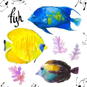 组的热带海洋鱼类。用一只手的水彩插图在白色背景上绘制外来观赏鱼