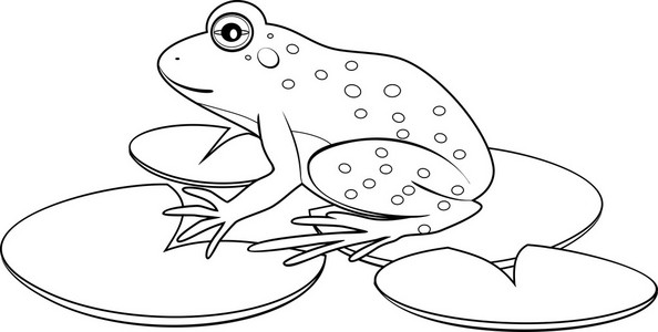 在吃害虫的青蛙简笔画图片