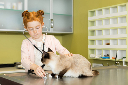 在诊所的女孩 ausculting 猫