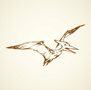 翼龙.矢量绘图插画