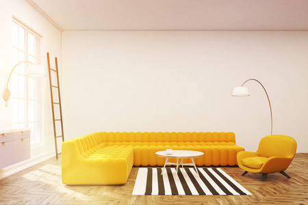 现代的休息室内，斑马地毯