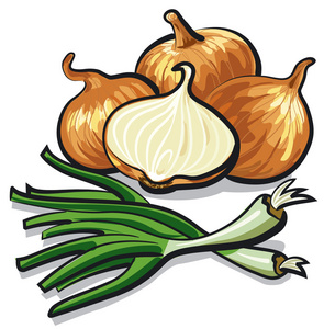 韭菜洋葱图片