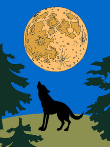 在晚上与月亮的狼