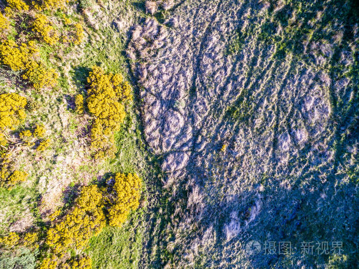 苏格兰的扫帚在高地的沼地的鸟瞰图