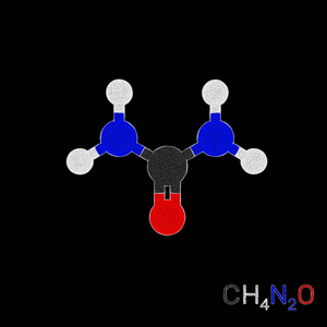 尿素分子模型。黑色背景上的孤立。素描这