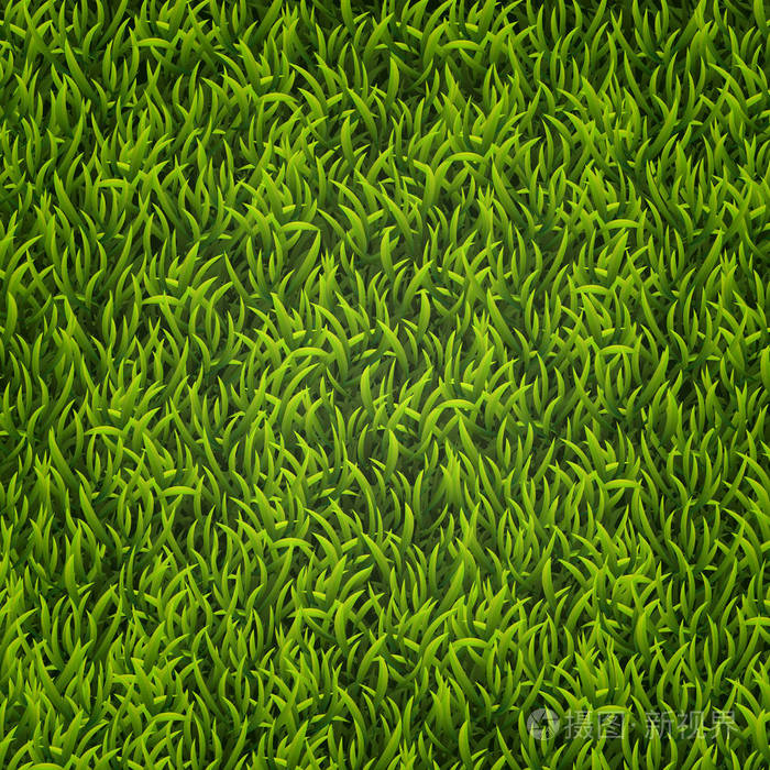 自然背景.纹理.高高的草丛.新鲜的春绿草