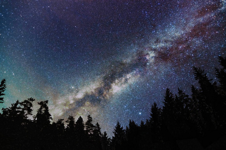 乳白色的银河，满天星斗的天空，与树木。繁星点点的夜晚