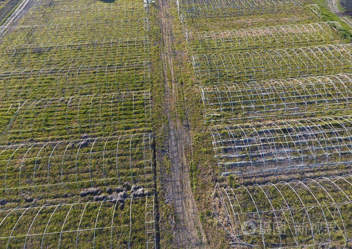 框架的大棚,顶视图.在领域温室建造项目.农业,封闭地面 agrotechnics