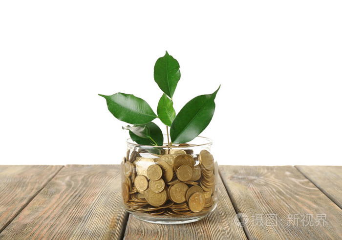 植物生长在碗里的硬币