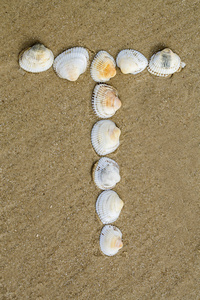 采用无缝砂背景的海贝壳的字母表