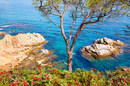 布拉瓦海岸海滩滩 Mar 加泰罗尼亚西班牙