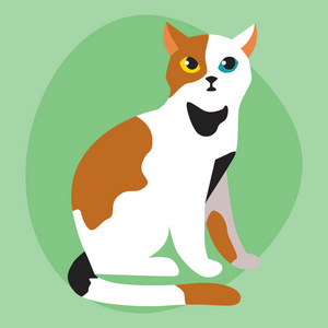 白色黑色红色可爱的卡通动物和好玩玩猫科哺乳动物国内小猫矢量图照片