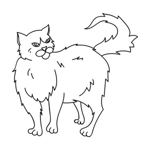 在白色背景上孤立的大纲样式的波斯图标.猫品种符号股票矢量图照片