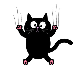 黑猫图像图片