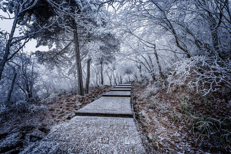 冬天的楼梯视图在黄山国家公园