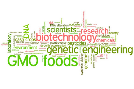 转基因食品词云