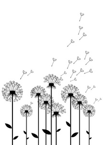 蒲公英矢量背景植物学鲜花盛开图片