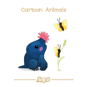 卡通系列卡通动物︰ 星鼻鼹照片