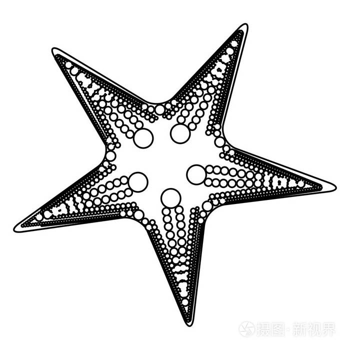 海星的单色剪影带有白色背景