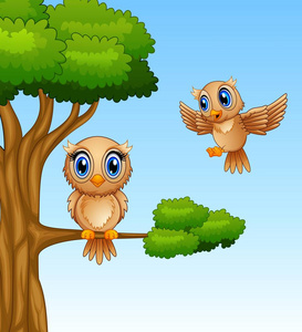 可爱的猫头鹰卡通在树枝上