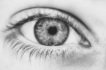 愿眼中总有光芒图片