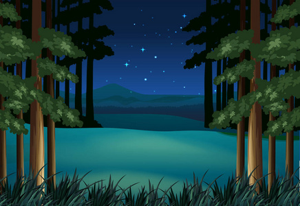 在有星星的夜晚的森林场景