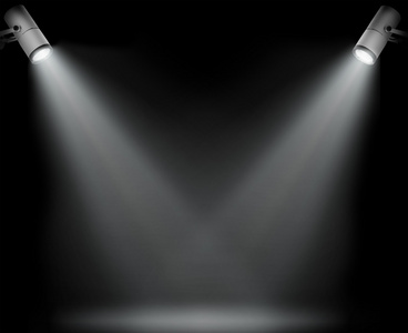 射灯两只黑色照片