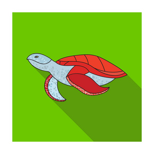海龟在白色背景上孤立的平面样式的图标。海洋动物符号股票矢量图