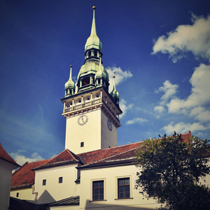 布尔诺市。捷克共和国欧洲。老市政厅的门。一张美丽的老建筑和旅游景点与瞭望塔的照片。旅游资料中心
