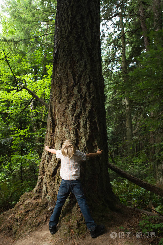 伸展双臂大树的男孩