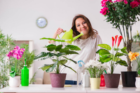 植物在家里照顾的年轻女人