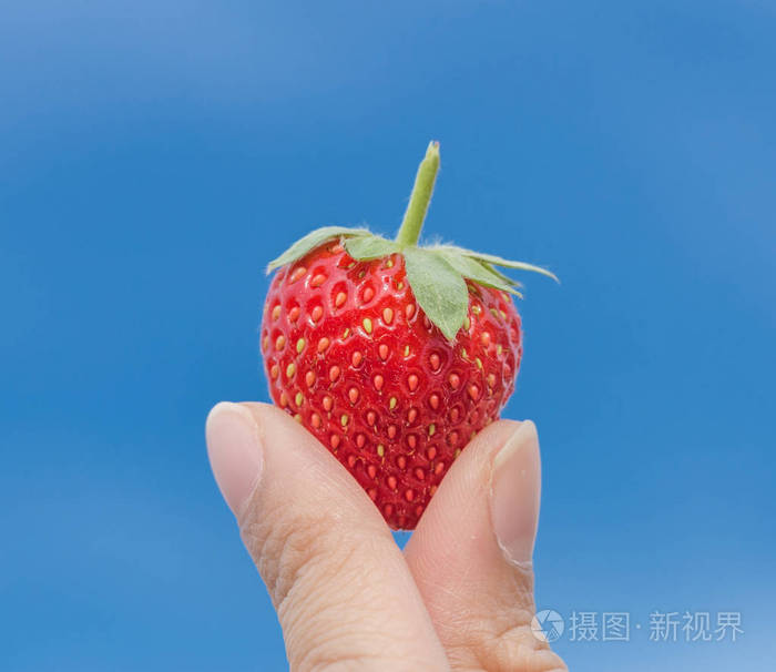 手中拿着草莓的蓝蓝的天空照片-正版商用图片0o02n0-摄图新视界