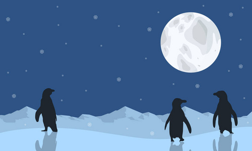 企鹅风光与月球剪影