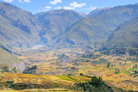 colca 峡谷 秘鲁，南美洲