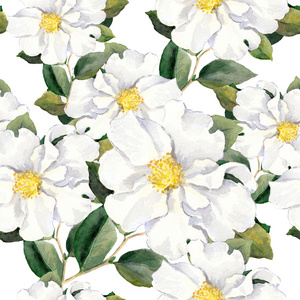 无缝的花卉壁纸与白花玉兰 牡丹。水彩