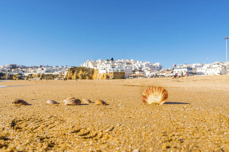 贝壳在宽, 沙滩在白色城市的阿尔加维, 阿尔加维