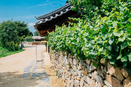 韩国传统的房子和石墙在夏天的日子里