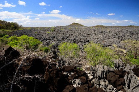 黥基岩地层，在 Ankarana，马达加斯加荒野