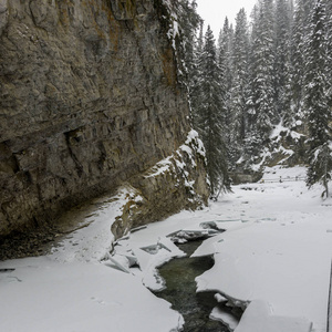 雪覆盖的树木和小溪峡谷, 约翰斯顿峡谷, 班夫国家公园, 艾伯塔省, 加拿大