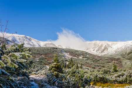 冰雪覆盖的山景